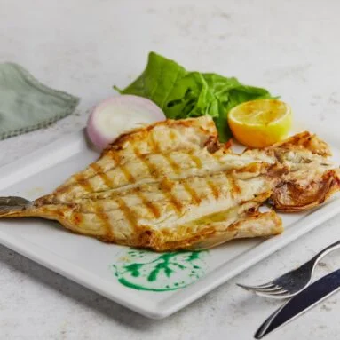 Butterfly Sea Bream