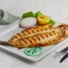 Butterfly Sea Bass